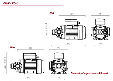 E120 BIO - Pompa Di Erogazione Biodiesel