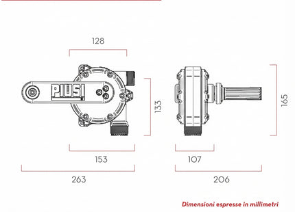 PIUSI Hand Pump – Pompa manuale rotativa per gasolio e diesel