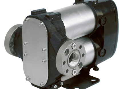 BIPUMP Pompa Diesel 12 e 24 V.