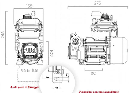 PANTHER EX - Pompa Travaso Benzina Atex